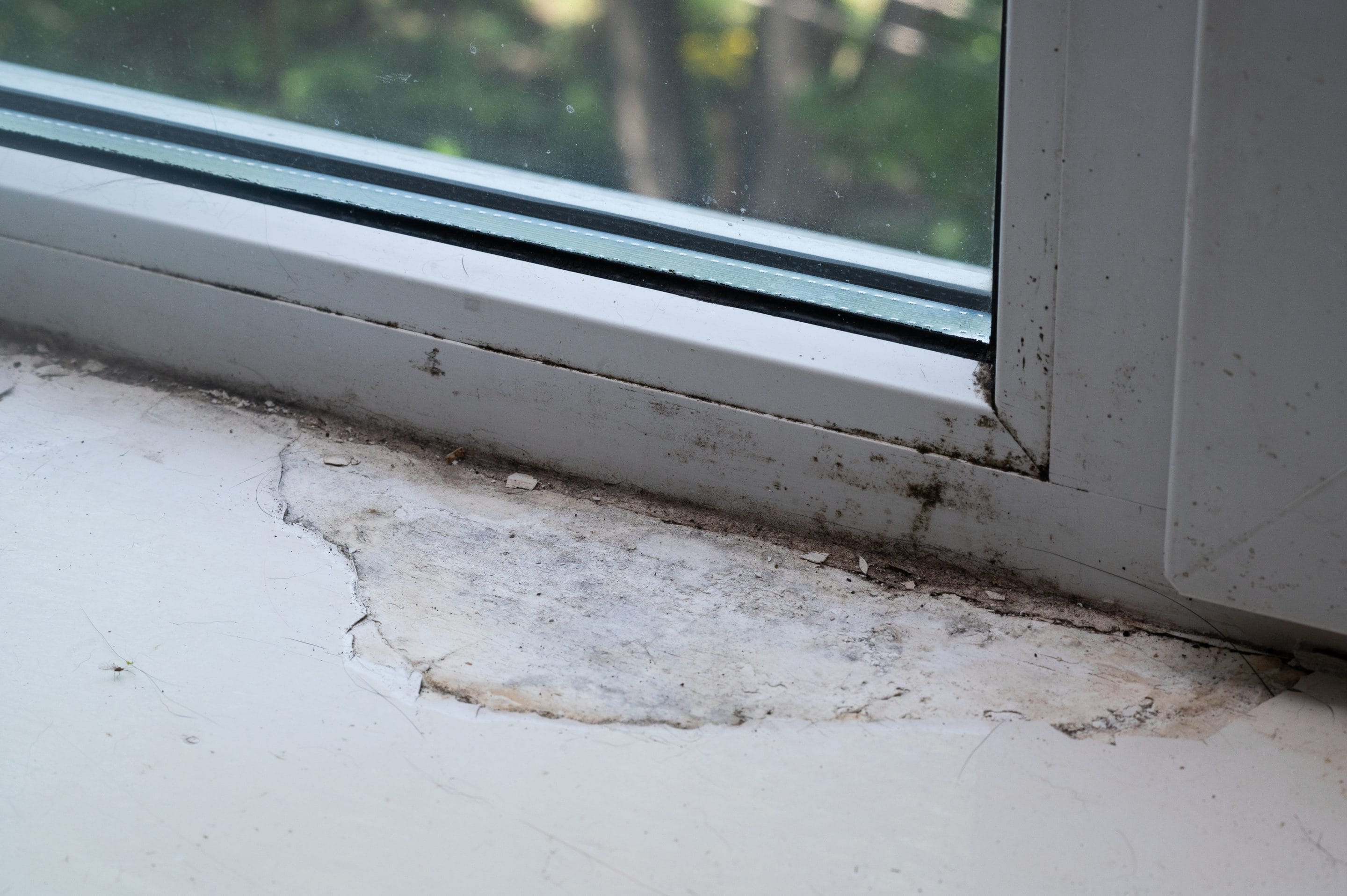 Mould forming near leaking window joinery due to water intrusion